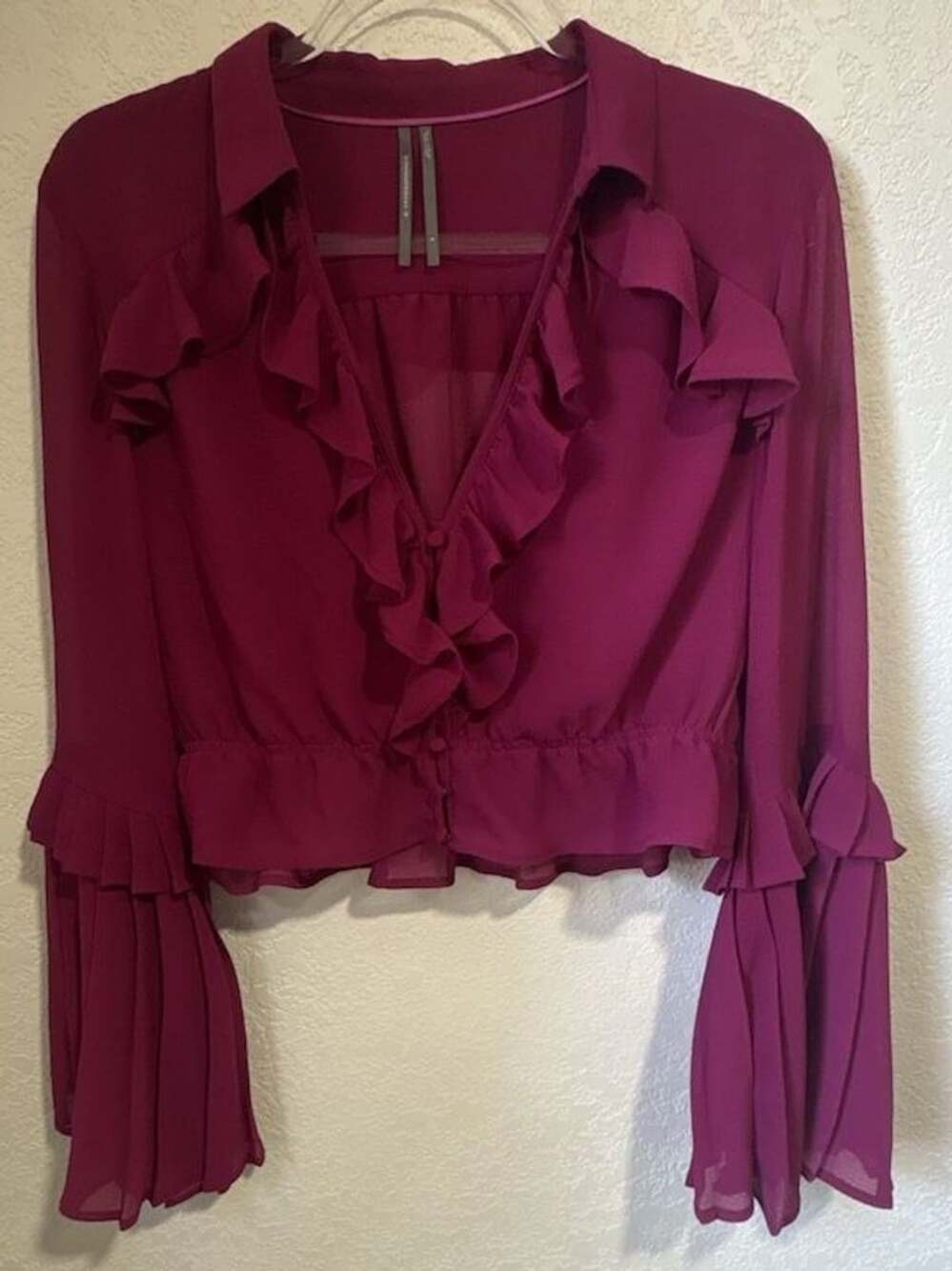 Anthropologie Ruffled Bell Sleeve Blouse